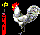 Rooster got a thing going.